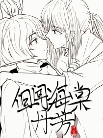 深入了解 蓝导航小鸟导航